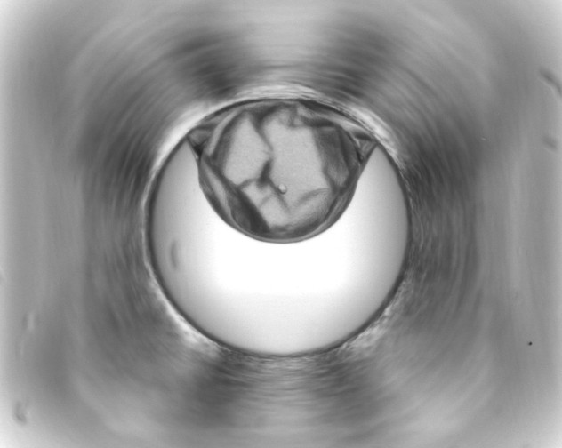 X0000093261430200710241324