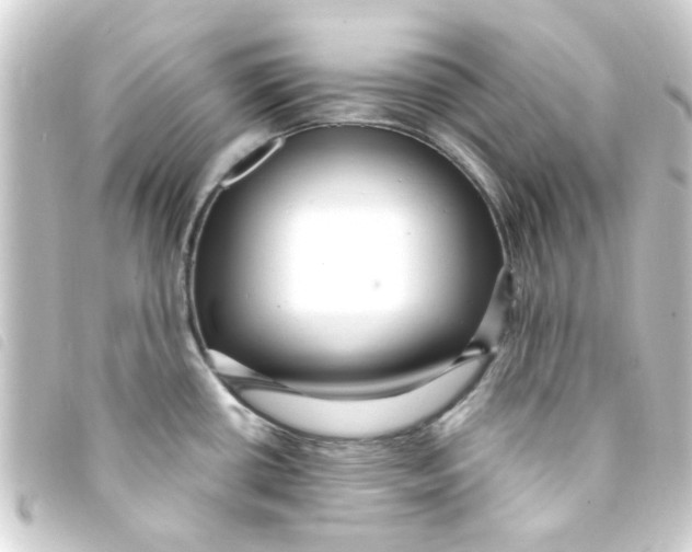 X0000093261434200710241324