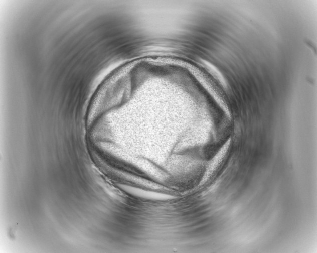 X0000093261435200710241325
