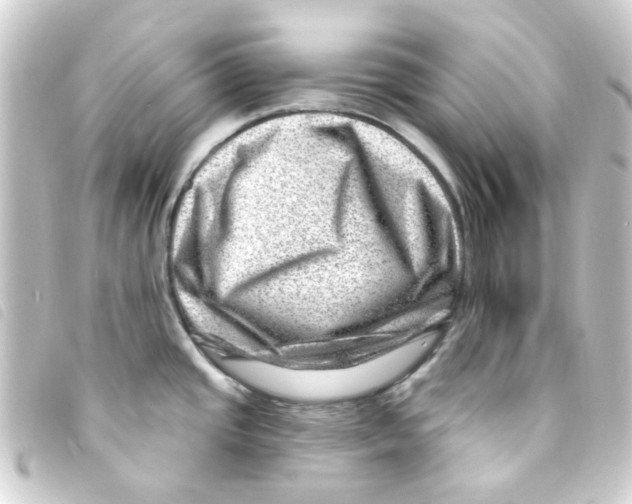 X0000093261437200710241325