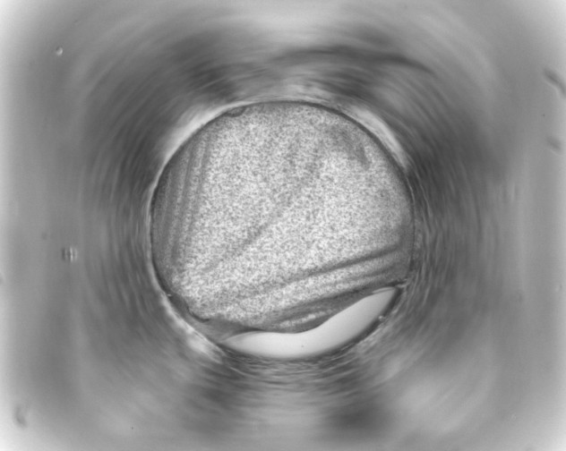 X0000093261439200710241325