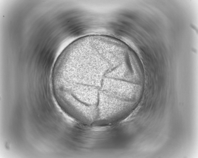 X0000093261440200710241325