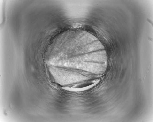 X0000093261441200710241324