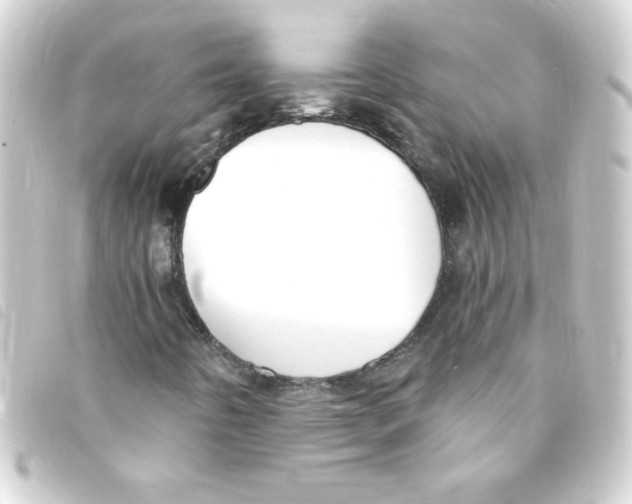 X0000093261442200710241324