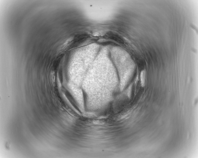 X0000093261443200710241324