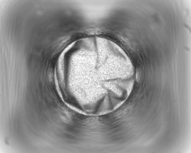 X0000093261444200710241324