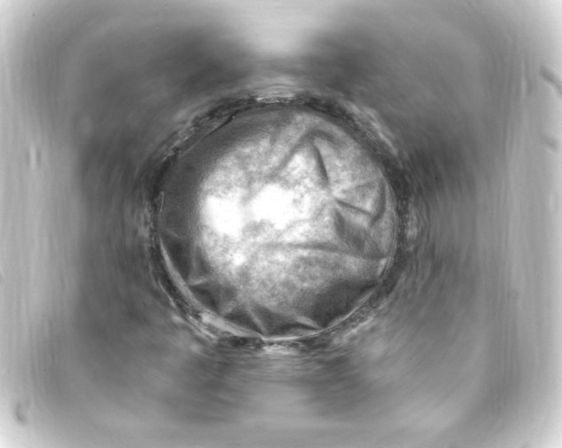 X0000093261445200710241324