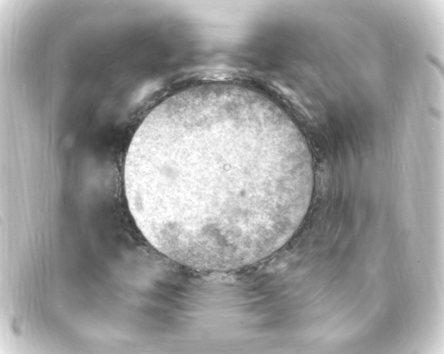 X0000093261446200710241324