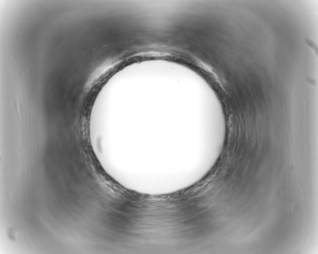 X0000093261448200710241324