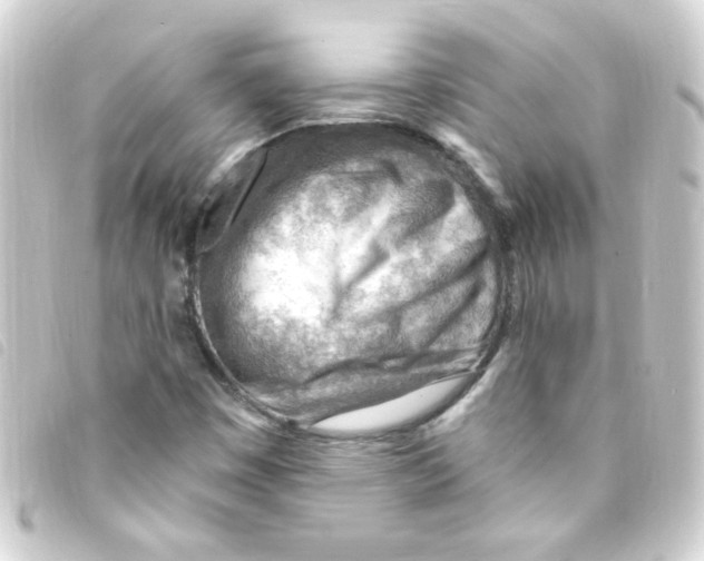 X0000093261449200710241324