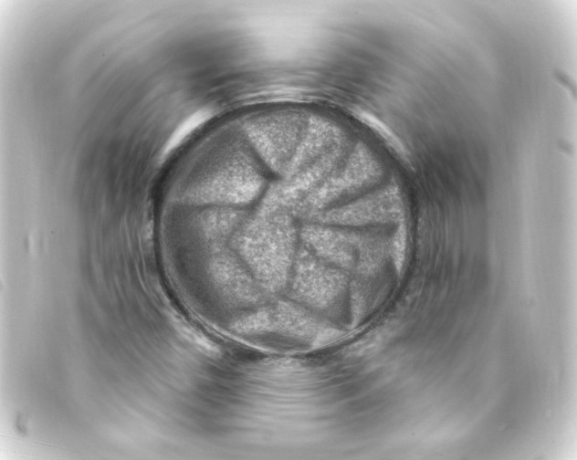 X0000093261450200710241324