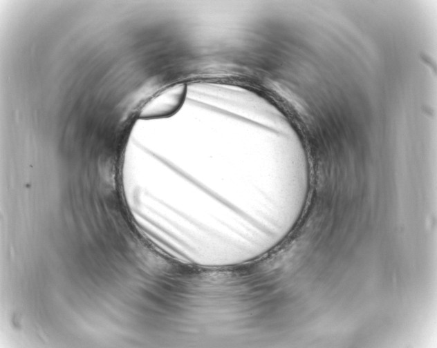 X0000093261451200710241324