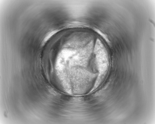 X0000093261453200710241324