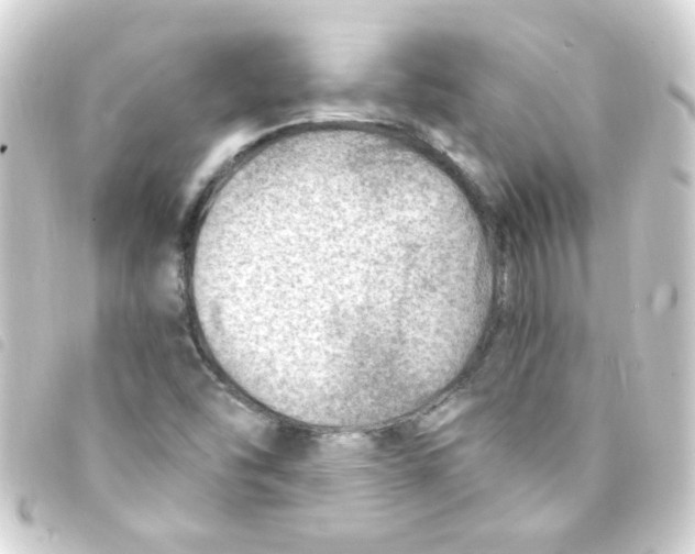 X0000093261454200710241324