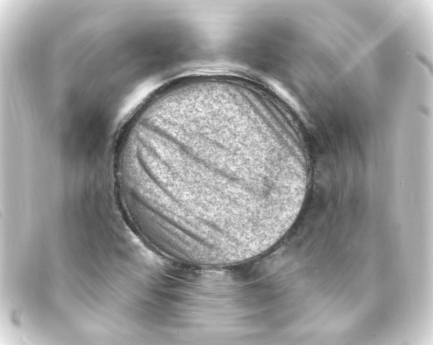 X0000093261456200710241324