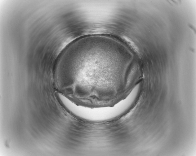 X0000093261457200710241324