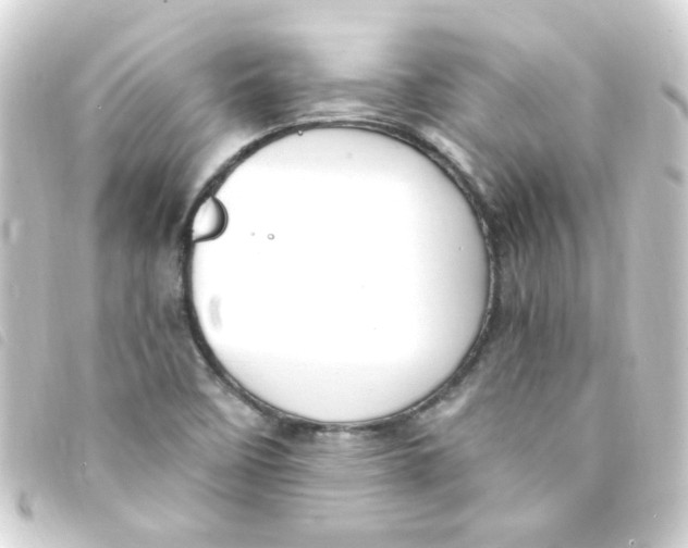 X0000093261458200710241324