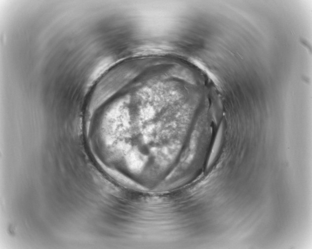 X0000093261459200710241324