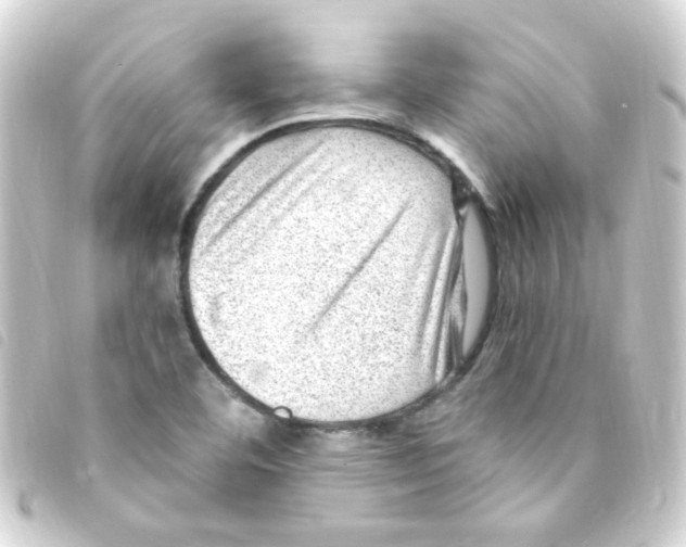 X0000093261460200710241324