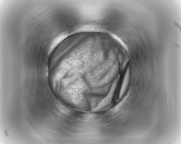 X0000093261461200710241324