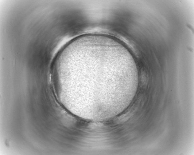 X0000093261462200710241324