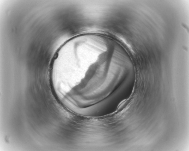 X0000093261463200710241324