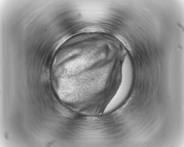 X0000093261465200710241324