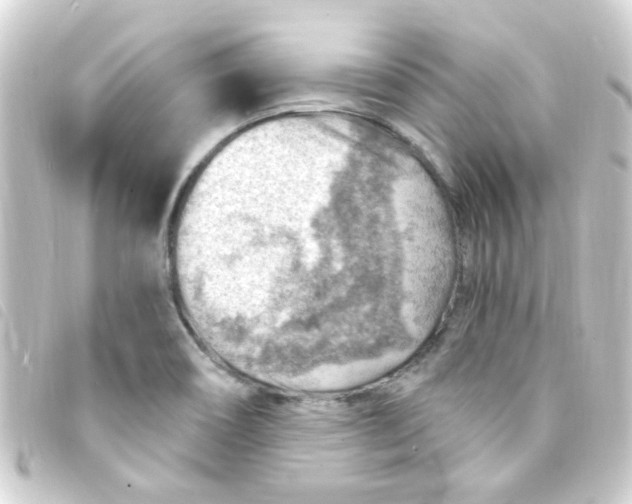 X0000093261466200710241324