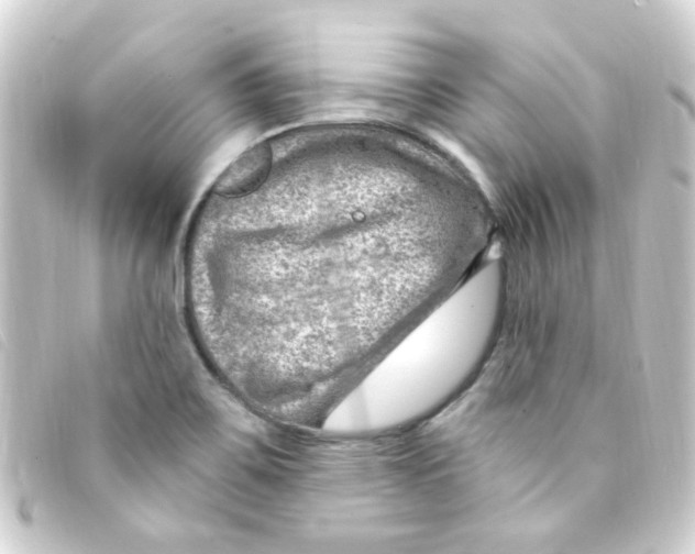 X0000093261467200710241324