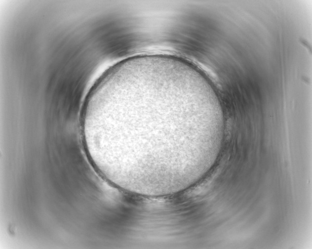 X0000093261470200710241324