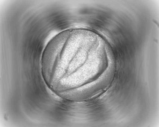 X0000093261471200710241324