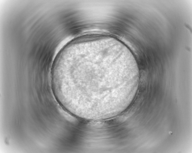 X0000093261474200710241324