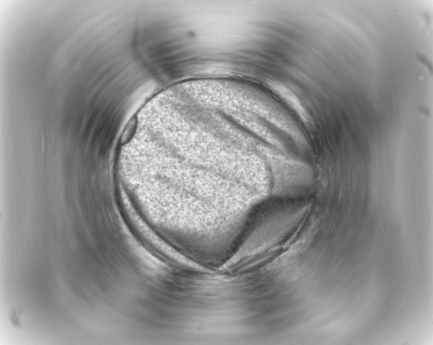 X0000093261475200710241324