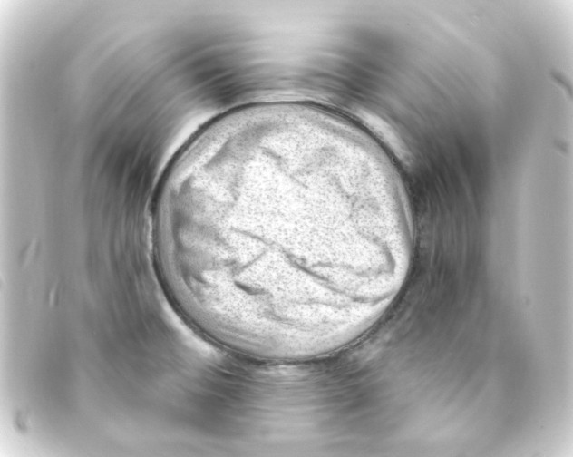 X0000093261476200710241324