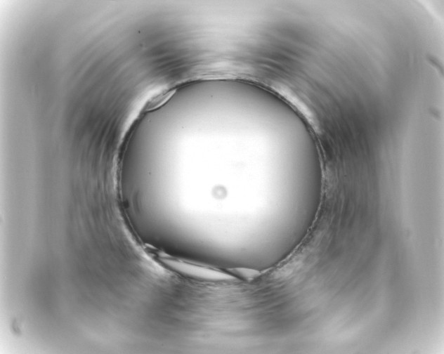 X0000093261477200710241324