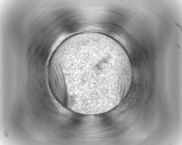 X0000093261478200710241324