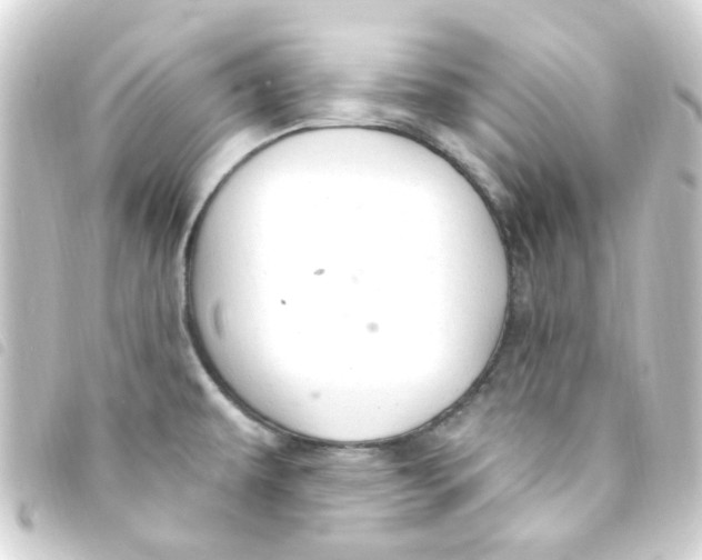 X0000093261479200710241324