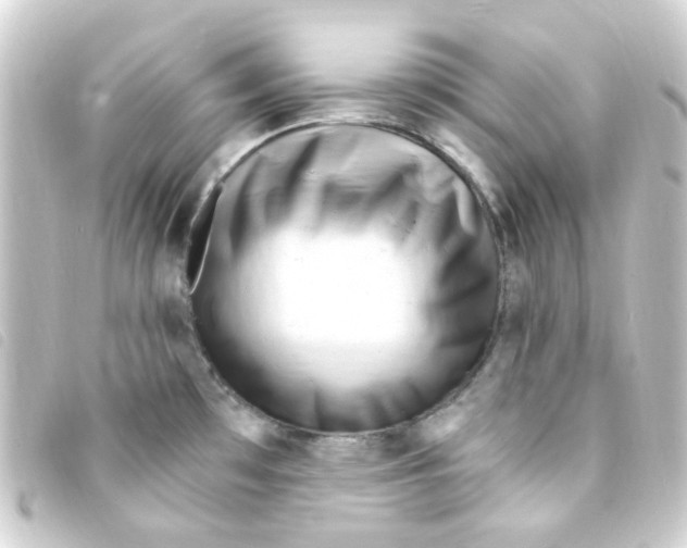 X0000093261481200710241324