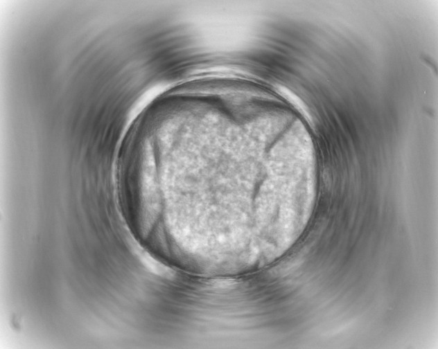 X0000093261482200710241324