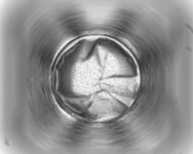 X0000093261484200710241323