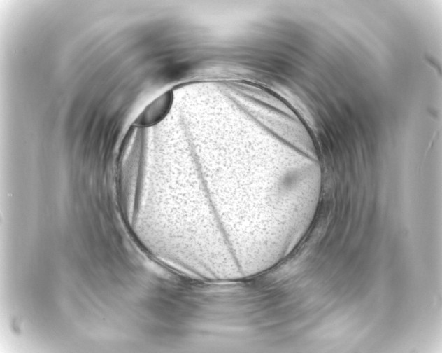 X0000093261486200710241323