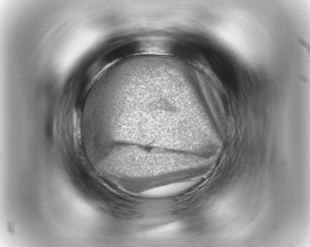 X0000093261487200710241323