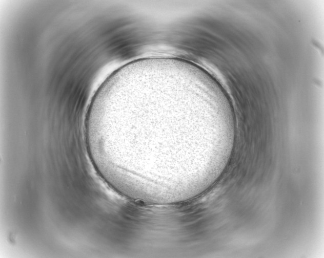 X0000093261488200710241323