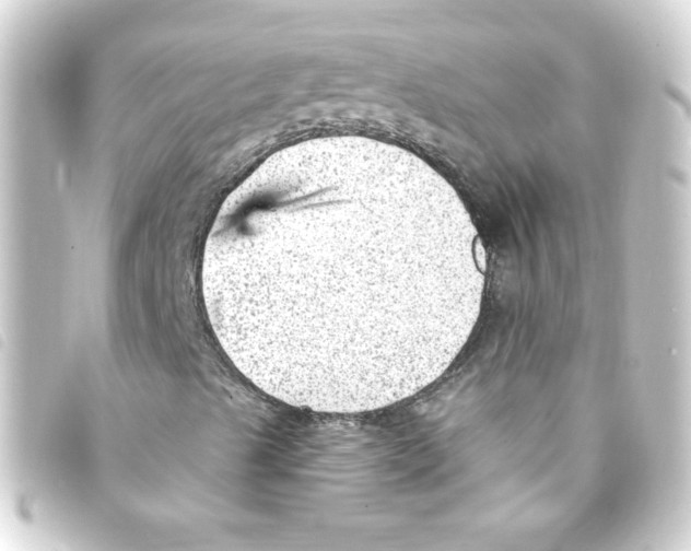 X0000093261489200710241323