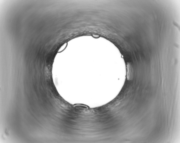 X0000093261491200710241323