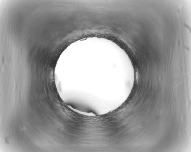 X0000093261492200710241323