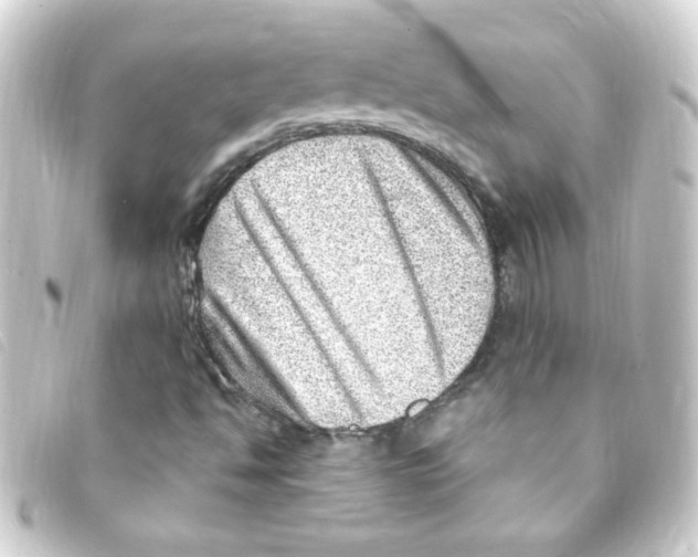 X0000093261494200710241323