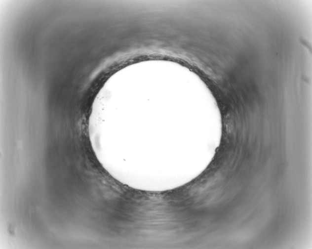 X0000093261495200710241323