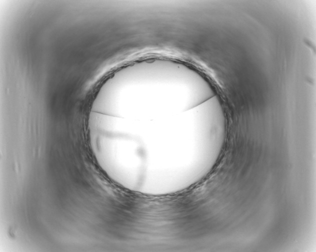 X0000093261496200710241323