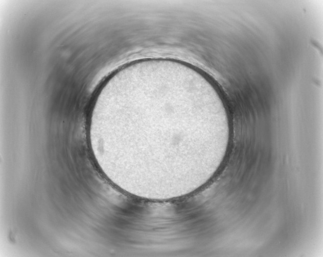 X0000093261498200710241323